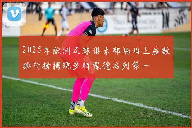 2025年欧洲足球俱乐部场均上座数排行榜揭晓多特蒙德名列第一
