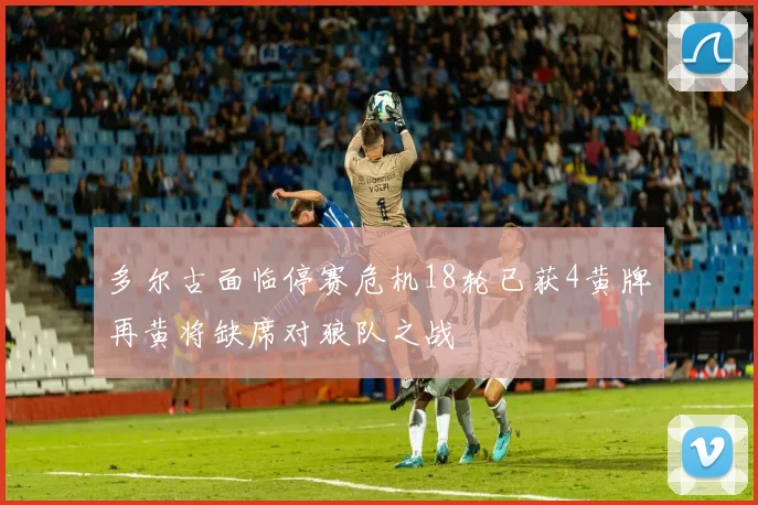 多尔古面临停赛危机18轮已获4黄牌再黄将缺席对狼队之战