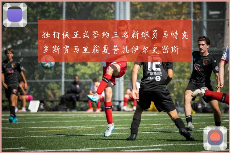 独行侠正式签约三名新球员马特克罗斯贾马里翁夏普扎伊尔史密斯