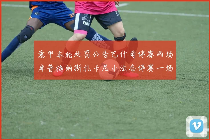 意甲本轮处罚公告巴什奇停赛两场库普梅纳斯扎卡尼小法各停赛一场